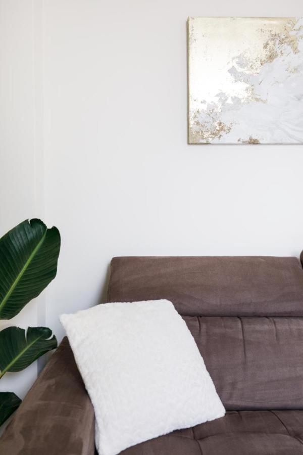 Bright And Elegant Renovated Two Rooms - Near Suquet Cannes Bagian luar foto